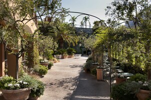 Un camino pavimentado bordeado de macetas con plantas y mobiliario exterior, que conduce a la entrada de un edificio.