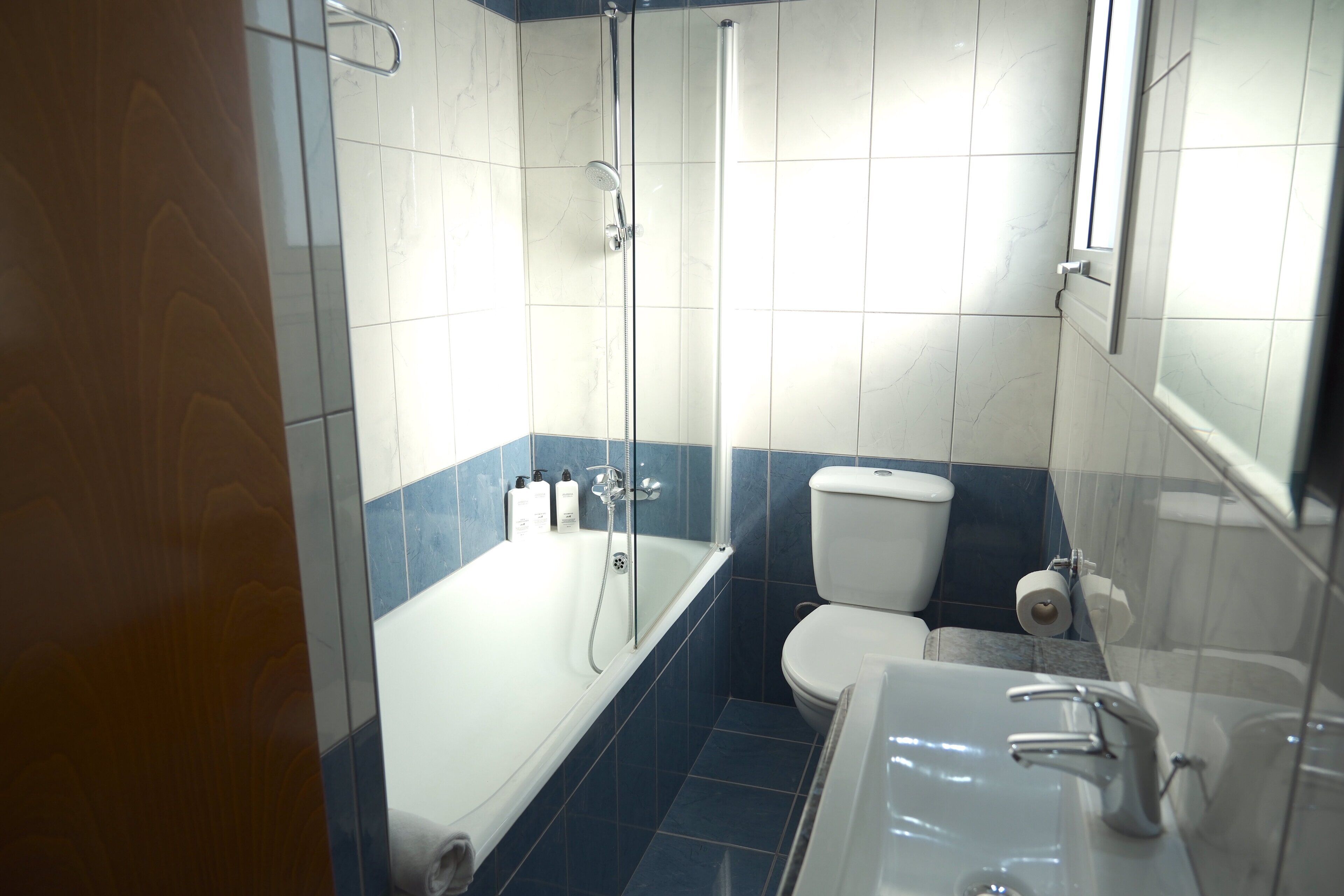 standard double or twin room | bathroom | hair dryer