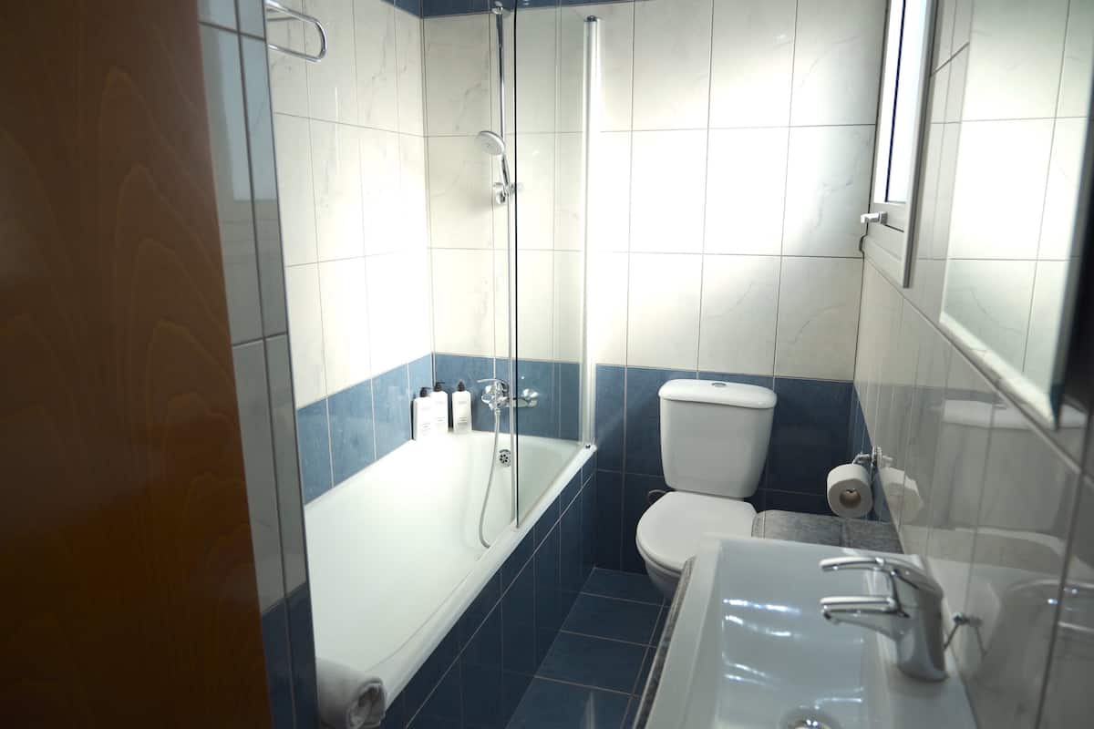 standard double or twin room | bathroom | hair dryer