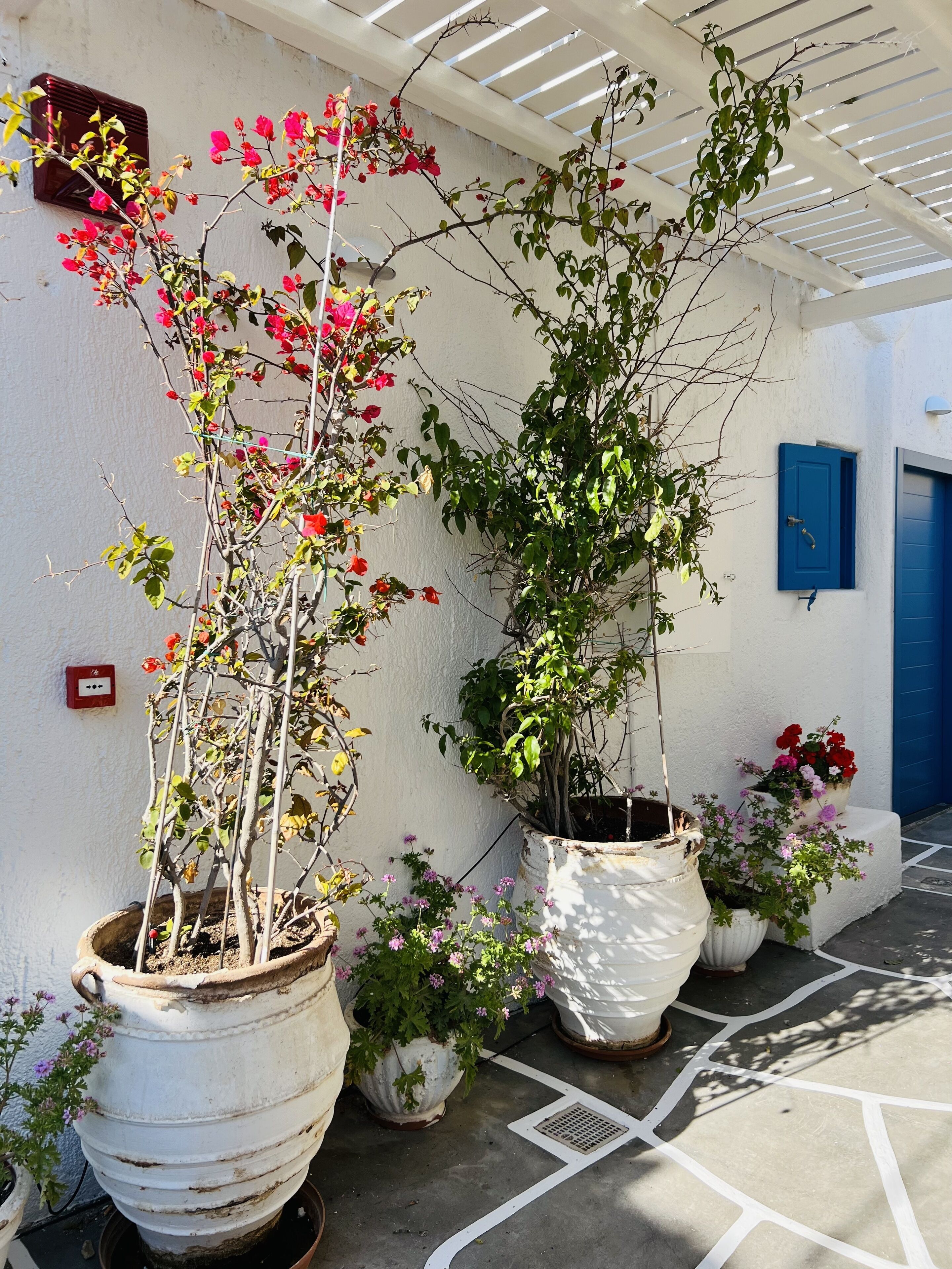 villa, private pool, sea view | 1 bedroom, premium bedding, minibar, in-room safe