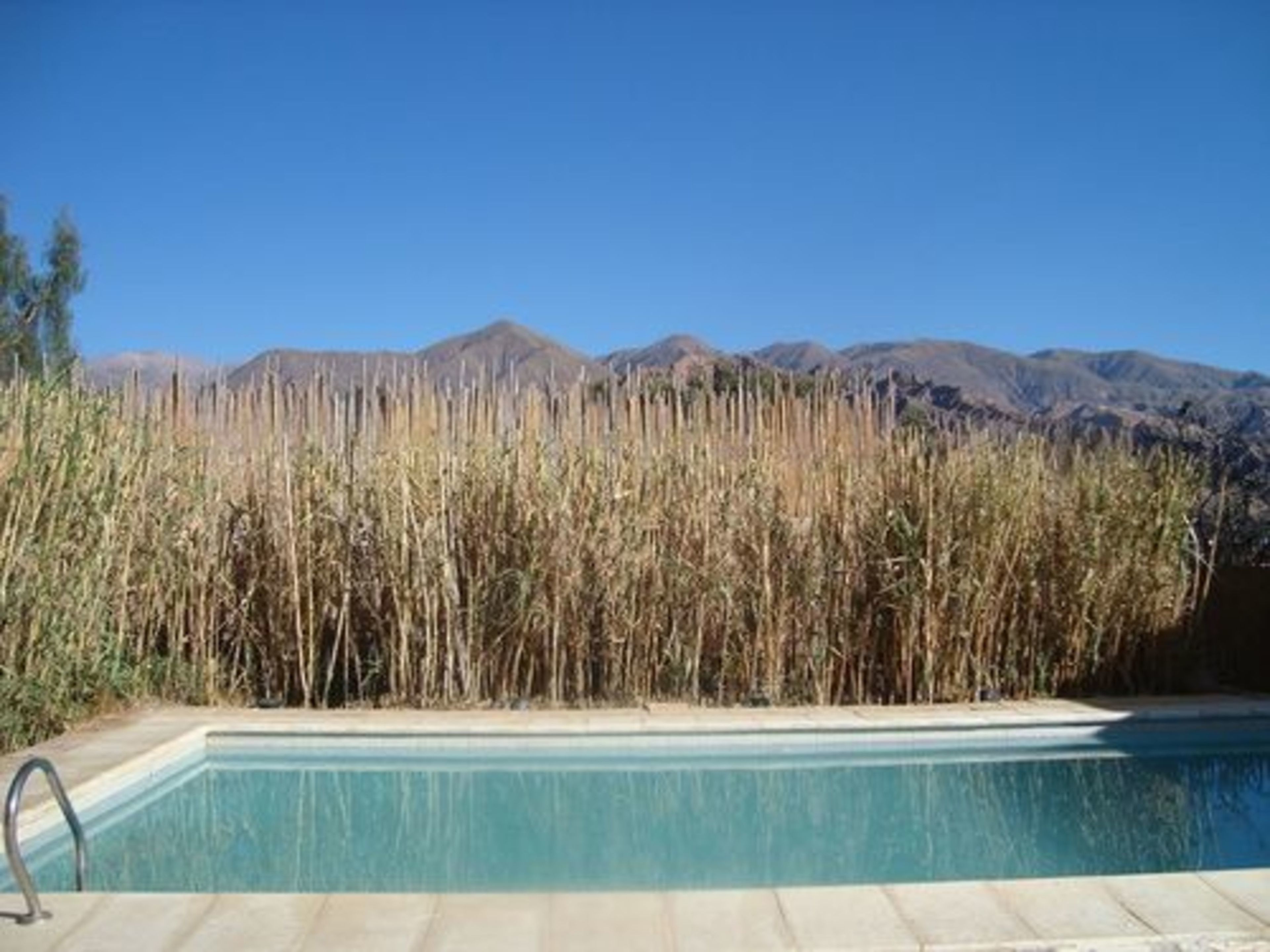 A swimming pool with a view of mountains and tall grasses in the background.
