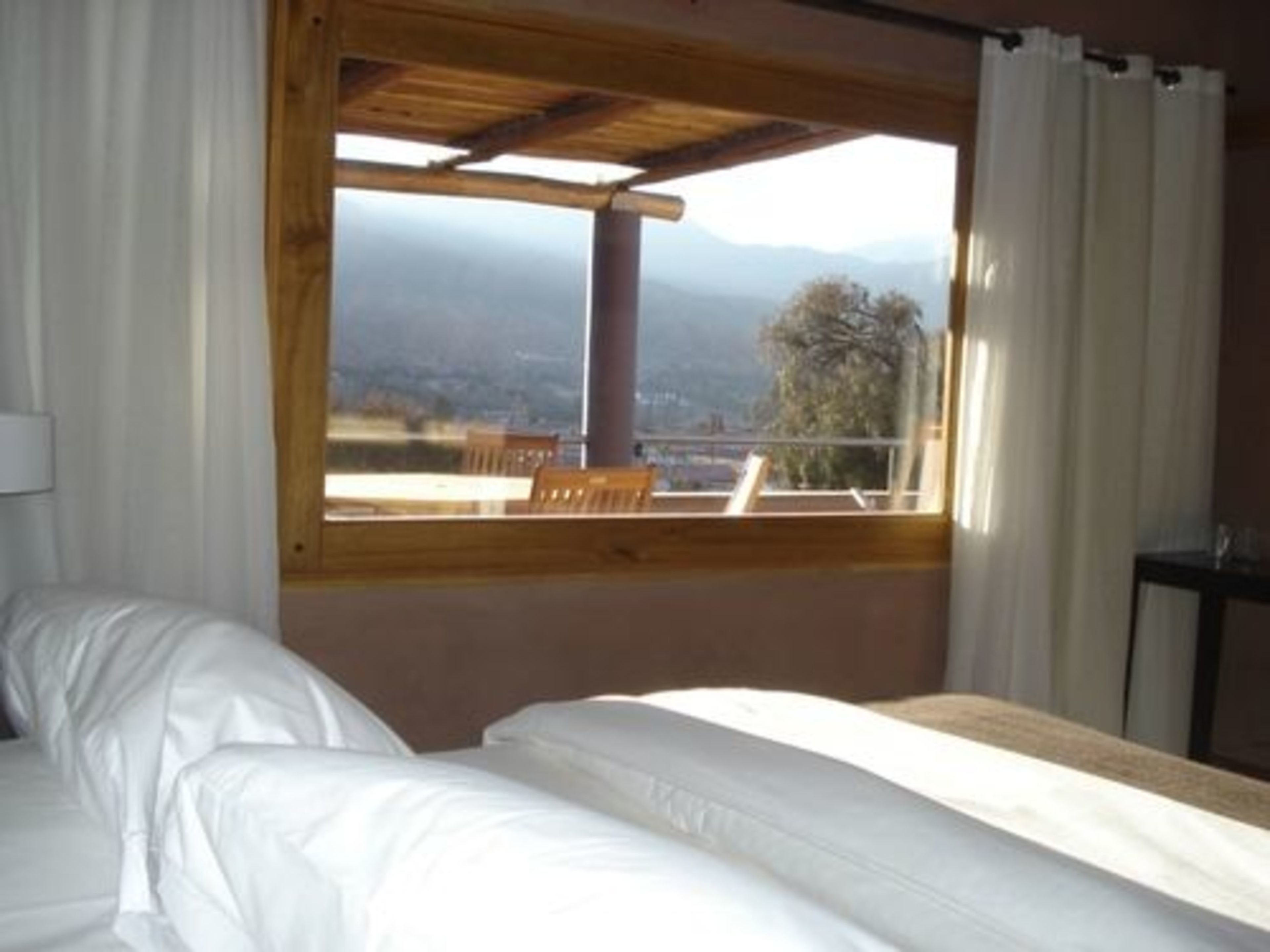 premium suite | down duvets, minibar, in-room safe, individually furnished