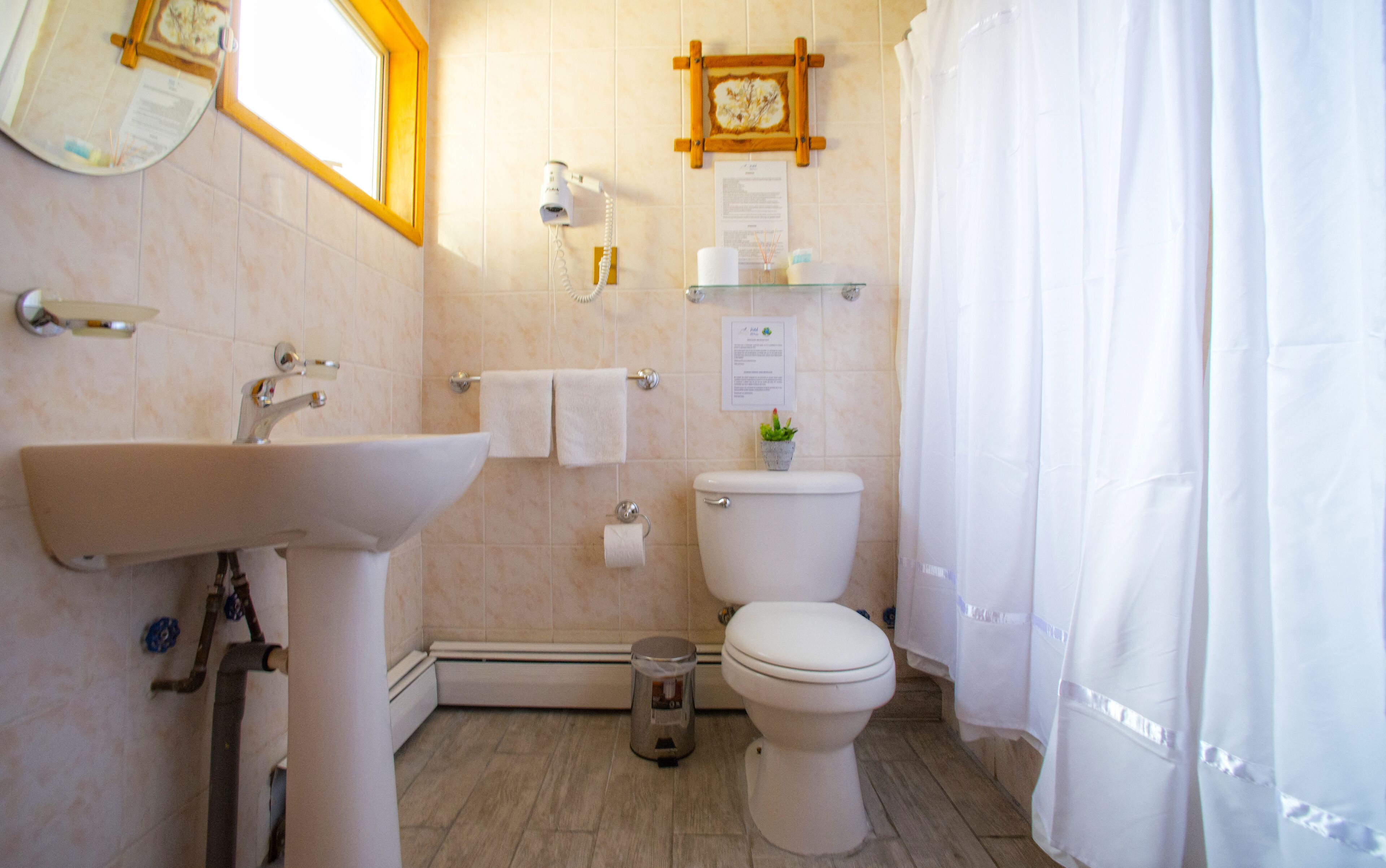 A bathroom with a sink, toilet, and shower curtain.