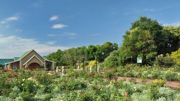 A garden with a variety of flowers and trees, a building with a green roof, and a clear blue sky.