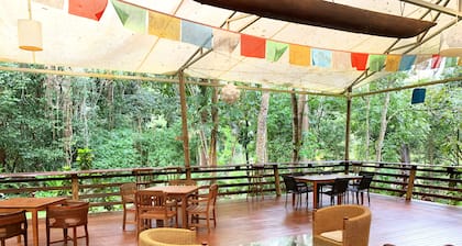 Cedar Park Rainforest Resort