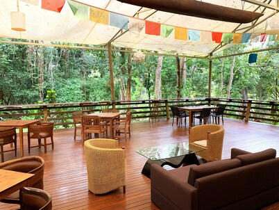 Cedar Park Rainforest Resort