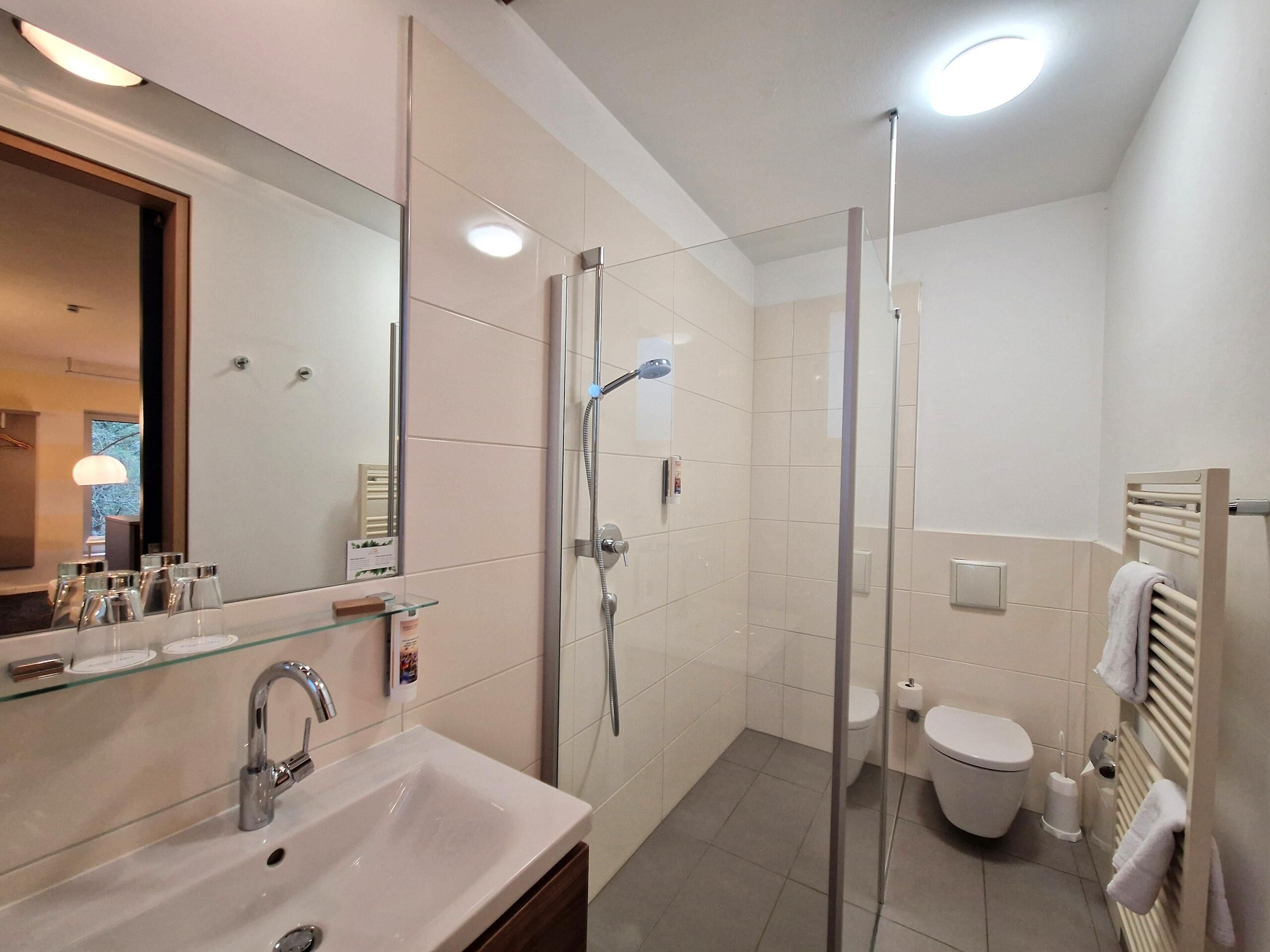 A modern bathroom with a glass shower enclosure, a sink with a mirror, and a toilet.