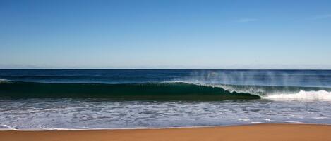 A beach with a clear sky and waves approaching the shore.