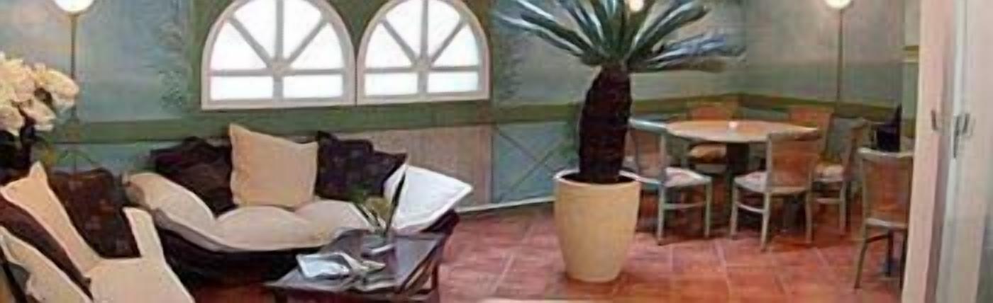 A room with a large potted plant, a round table, and several chairs.