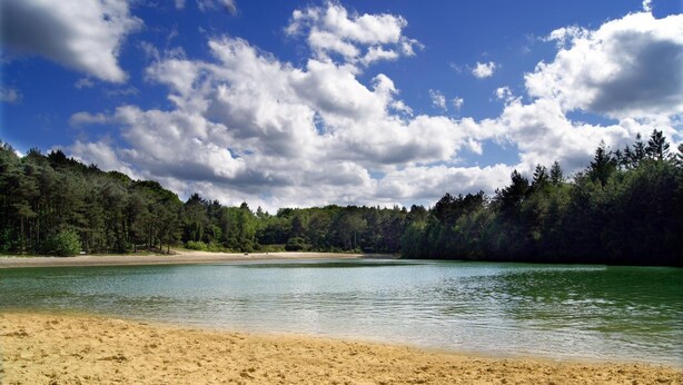 Une plage avec un rivage sablonneux, un lac paisible et une zone boisée en arrière-plan.