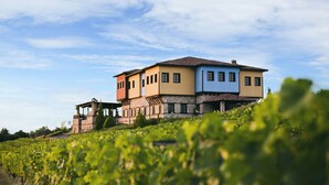 A multi-story building with a mix of stone and painted walls, situated on a hillside with vineyards in the foreground.
