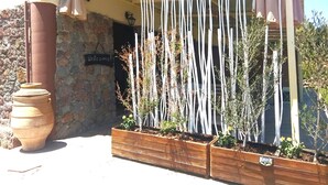 A rustic outdoor area with a stone wall, a wooden planter with plants, and a large terracotta pot. - Cavo Petra (Troizinia)