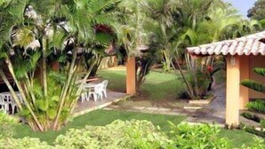 A garden area with palm trees, a patio with chairs, and a tiled roof structure. - Villa Flamboyan (Lauro de Freitas)