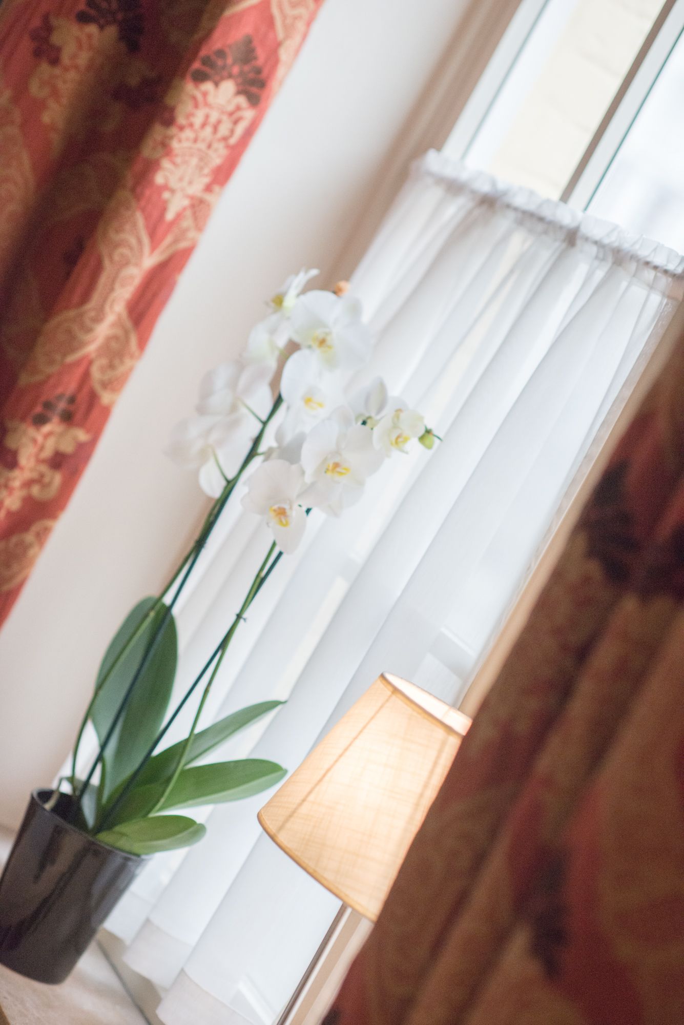 Ein Fenster mit weißen Vorhängen, ein Topfpflanze mit grünen Blättern und eine hölzerne Tischlampe.
