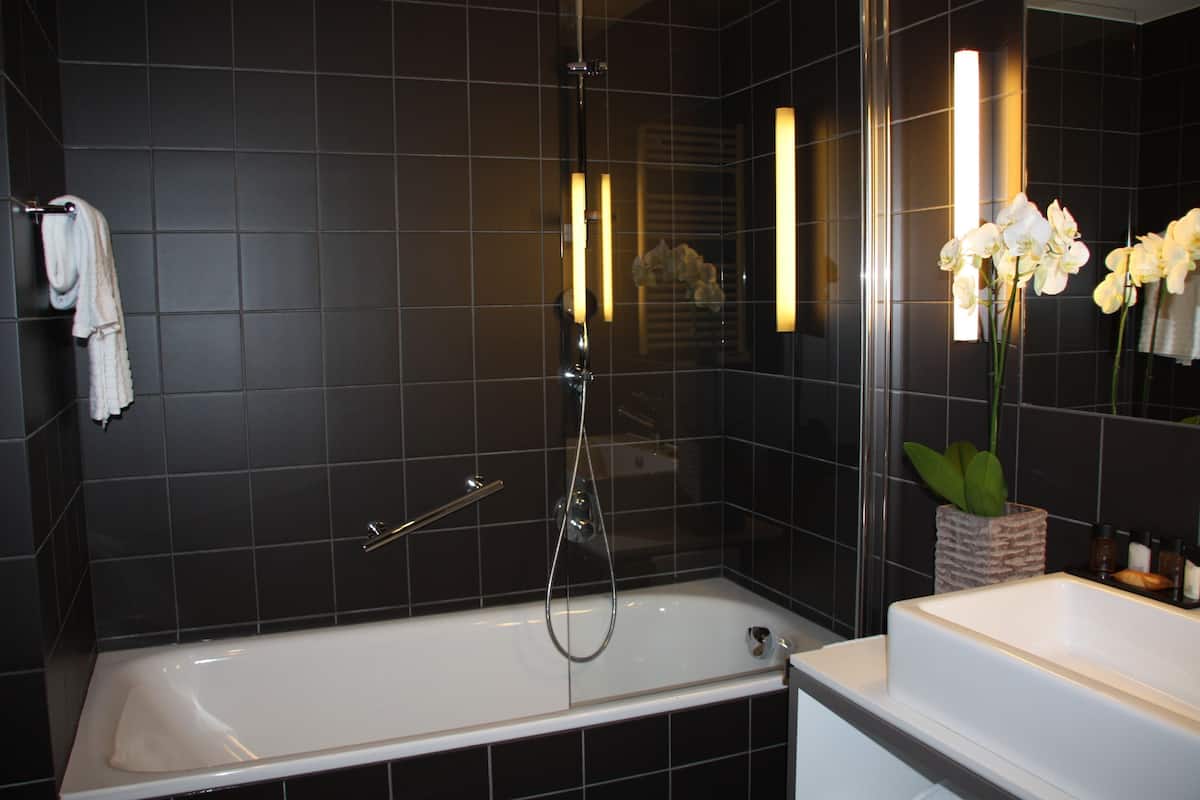 free toiletries, hair dryer, towels