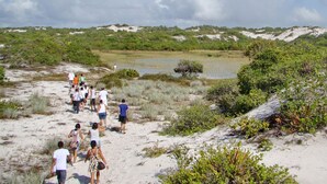 A group of people walking on a sandy beach with sparse vegetation and a body of water in the background.