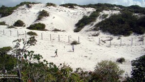 A sandy beach with dunes and sparse vegetation.