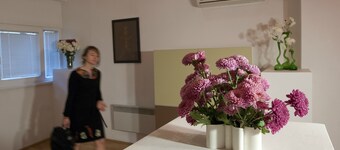 Art Hotel Public Room- Apartments