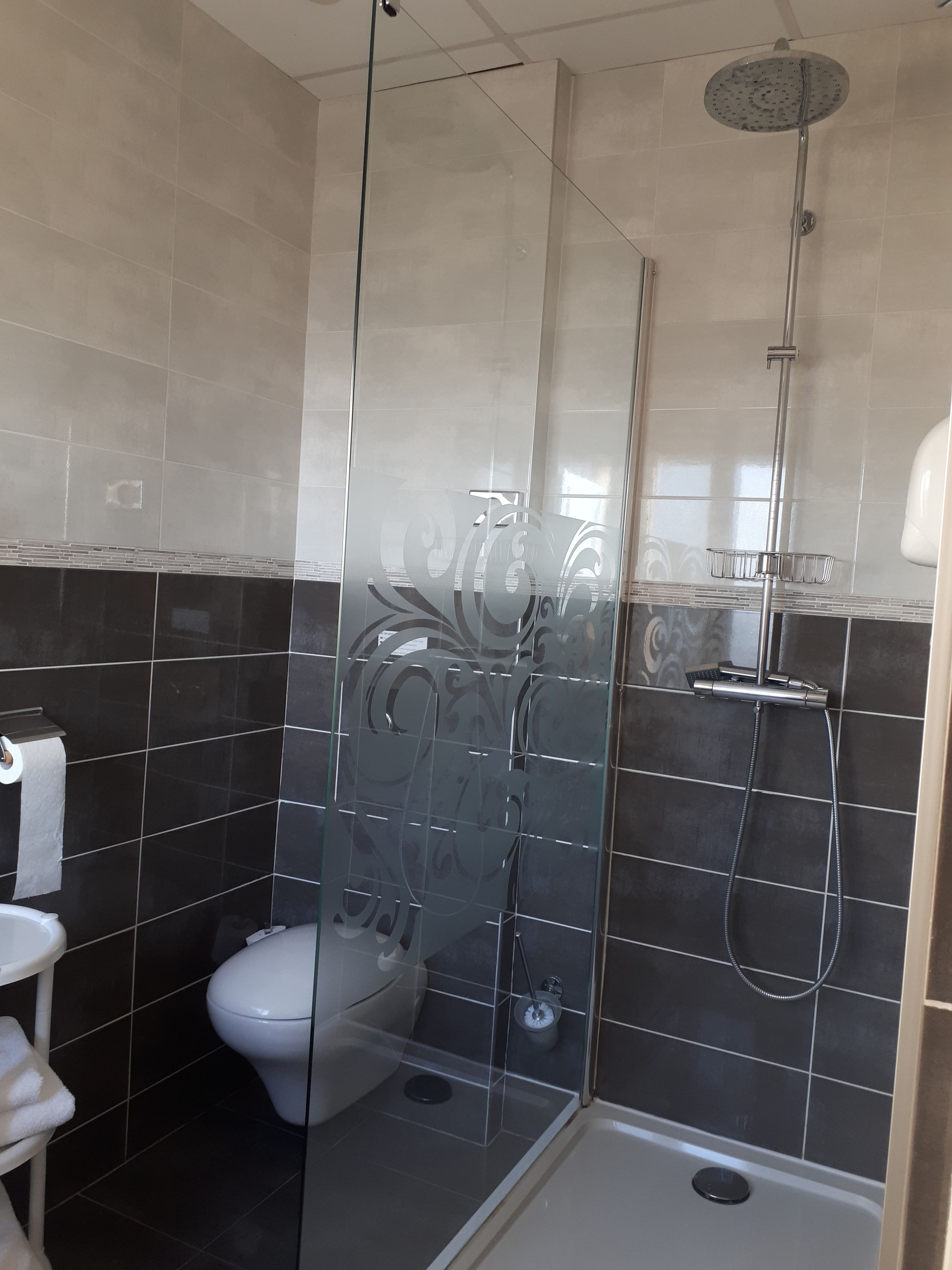 Une salle de bain moderne avec une douche à parois de verre, des toilettes et un lavabo.