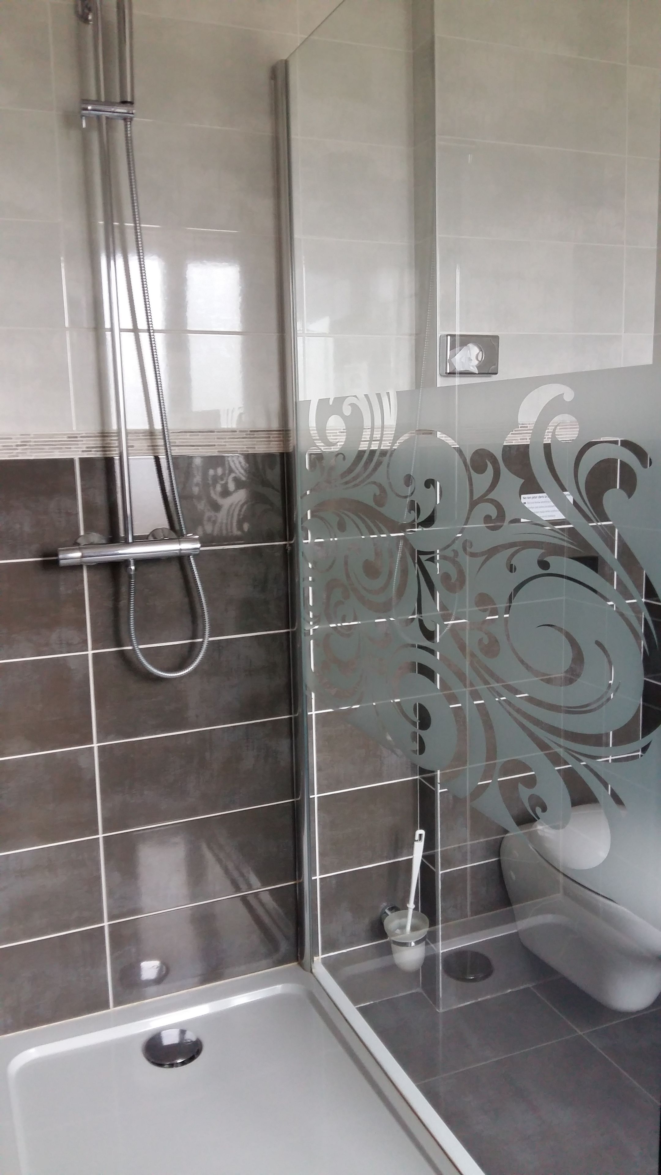 A shower area with a glass partition, a handheld showerhead, and a toilet with a glass partition.