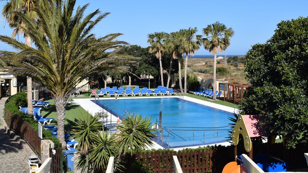 Zona de piscina con sillas reclinables azules, palmeras y una vista despejada del océano.