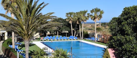 Seasonal outdoor pool, sun loungers
