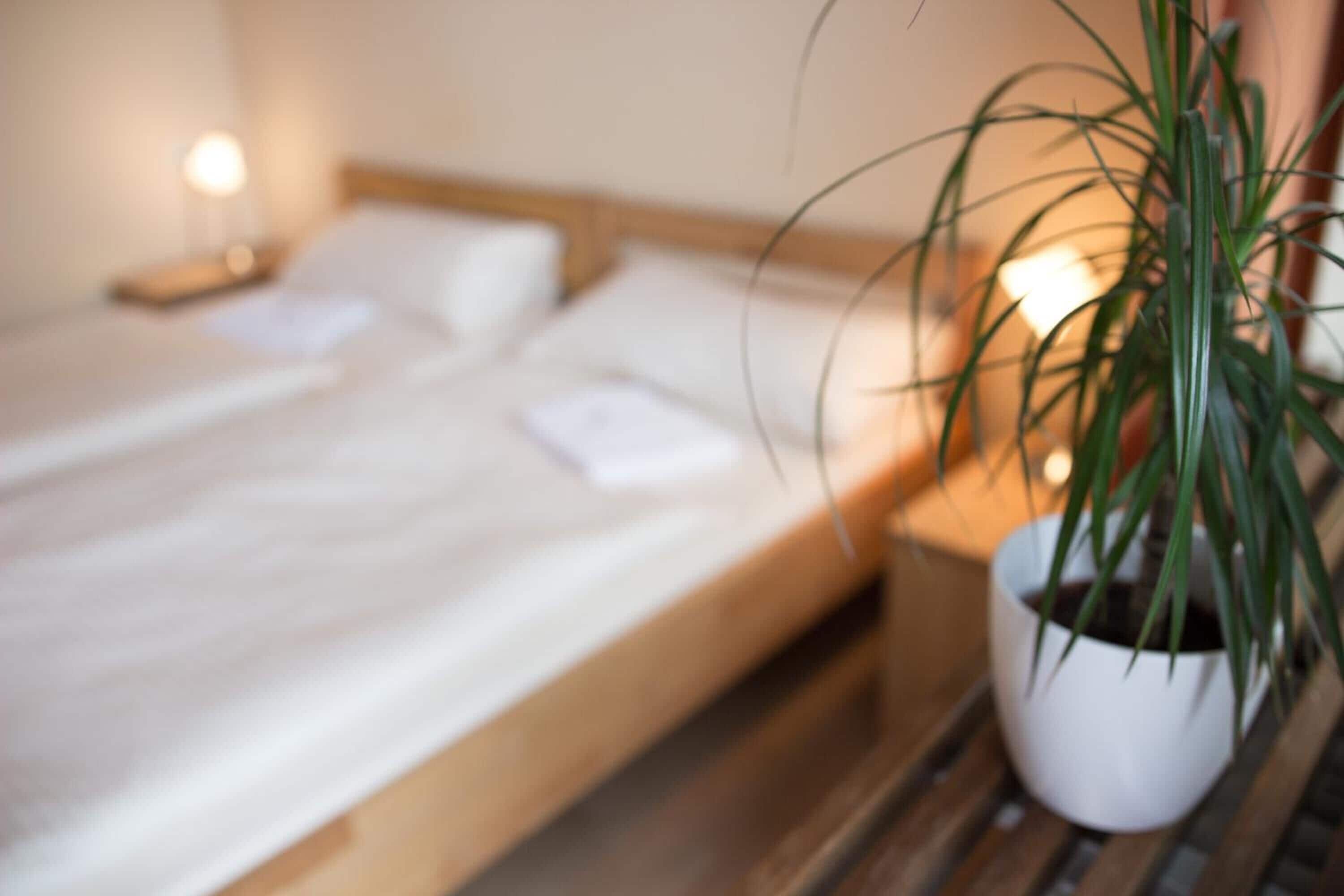 Free cribs/infant beds, free WiFi, bed sheets