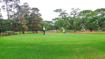 Golfers enjoy a serene round on this well-manicured course surrounded by lush trees.