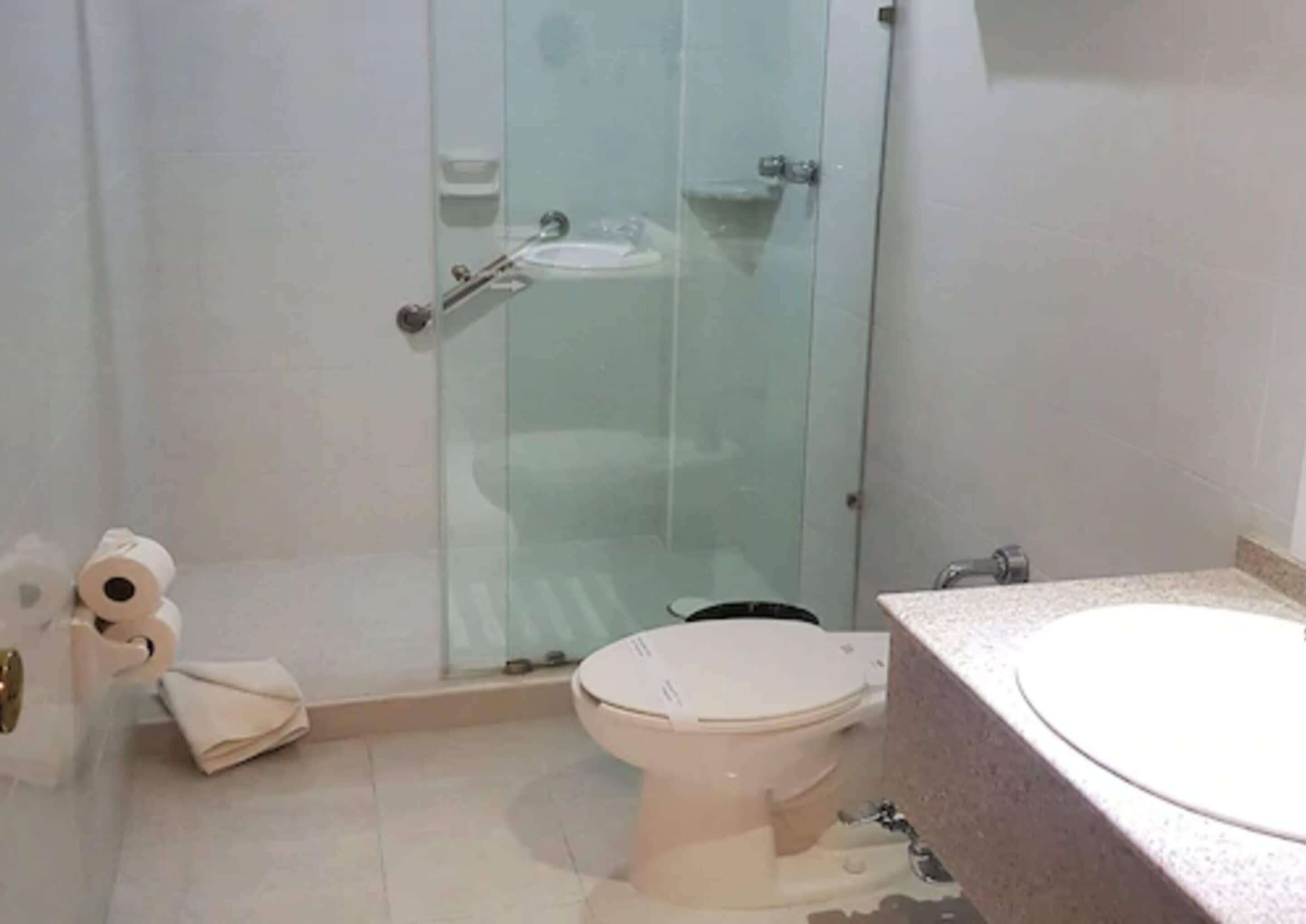 Un baño con ducha de mampara de vidrio, inodoro y lavamanos.