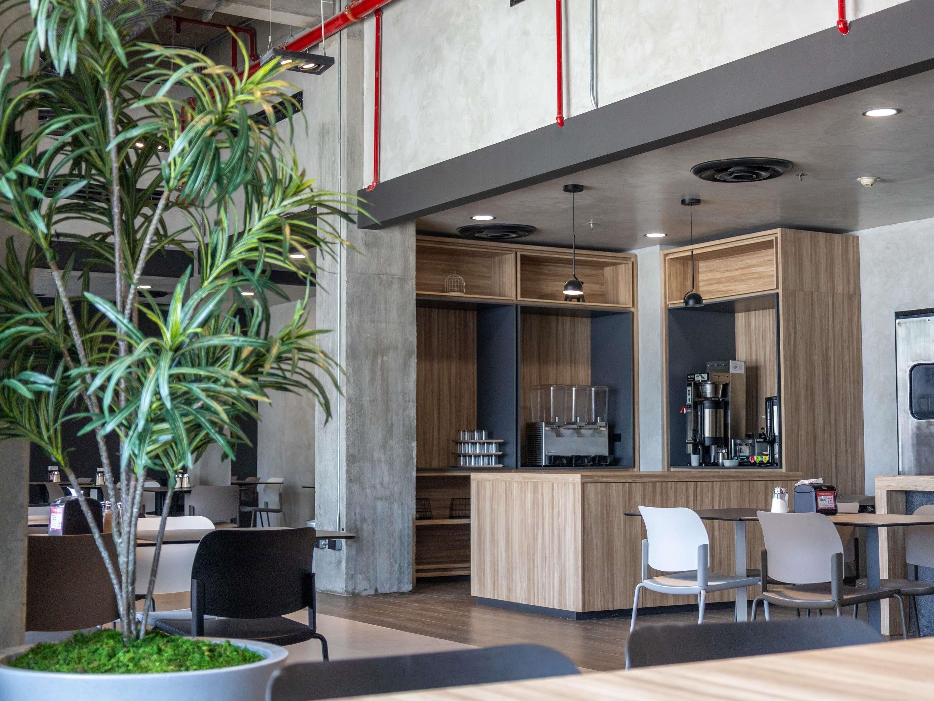 A modern cafe with a bar area, seating, and a large potted plant.