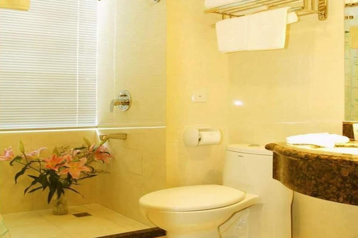 combined shower/bathtub, free toiletries, hair dryer, slippers
