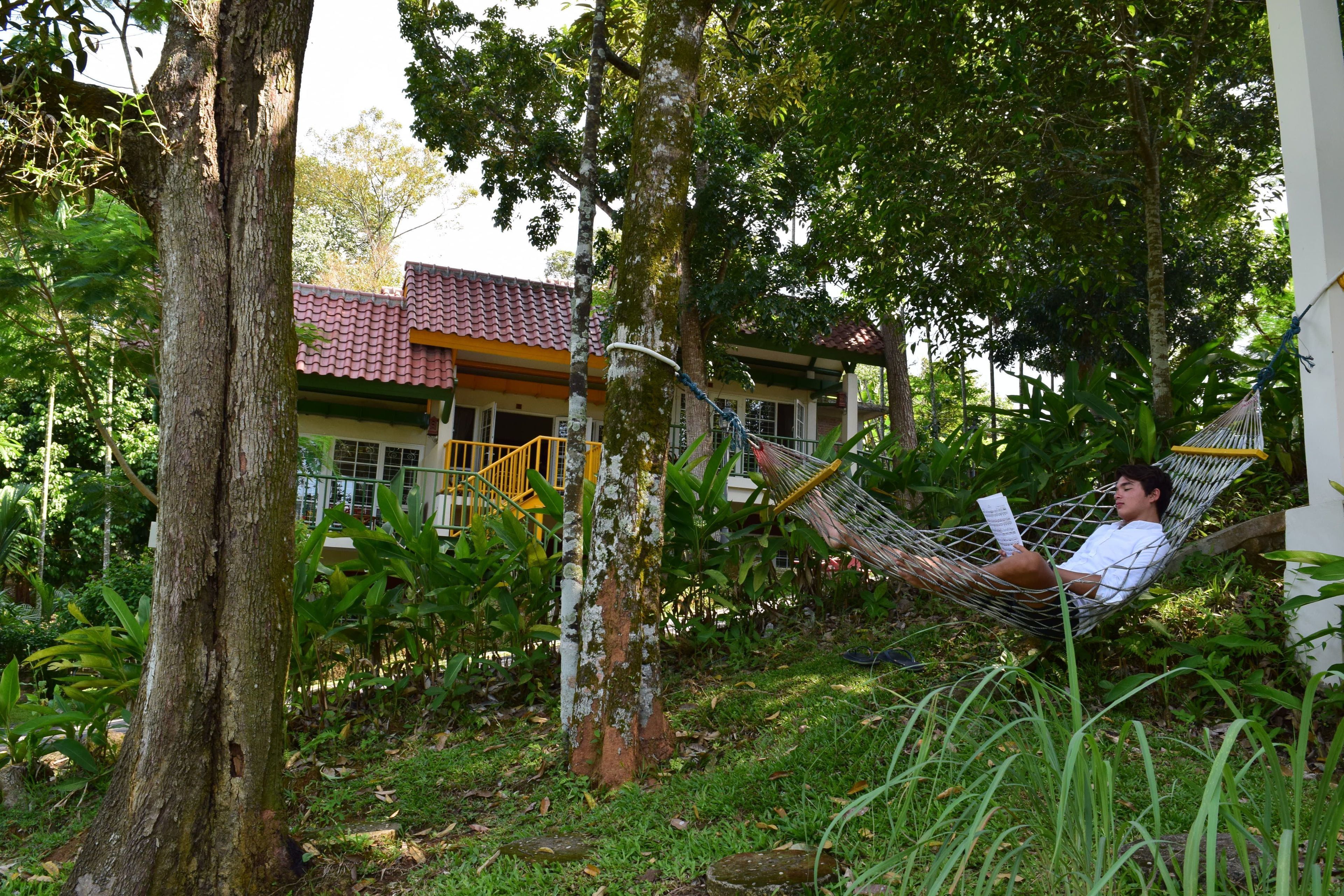 A hammock in a lush garden with a building in the background.