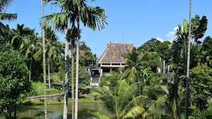 A traditional house with a tiled roof, surrounded by lush greenery and palm trees, with a pond in the foreground. - Hotel Deli River (Medan)