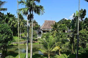 Vistas desde el alojamiento