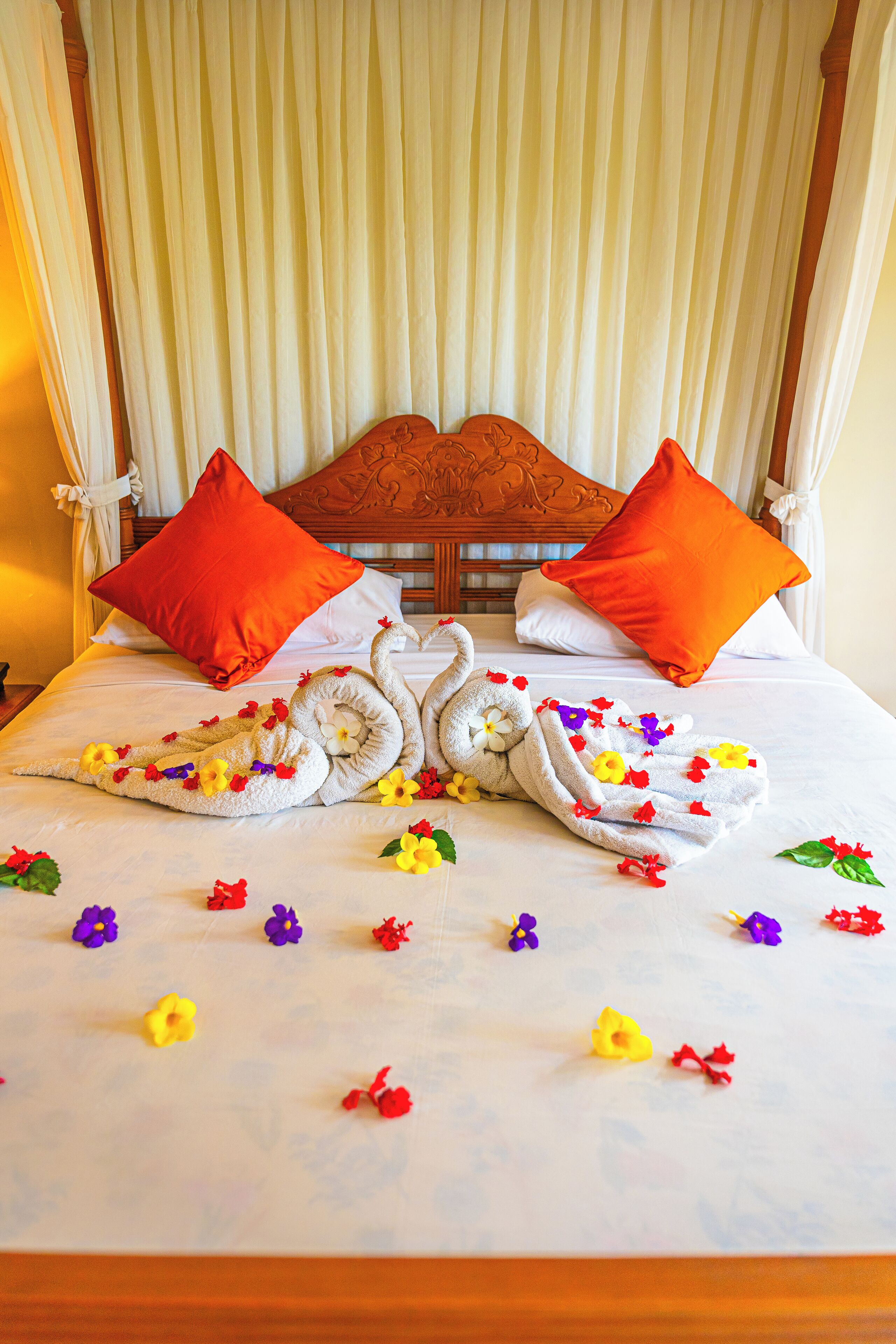 Foto - Hotel Deli River and Restaurant Omlandia