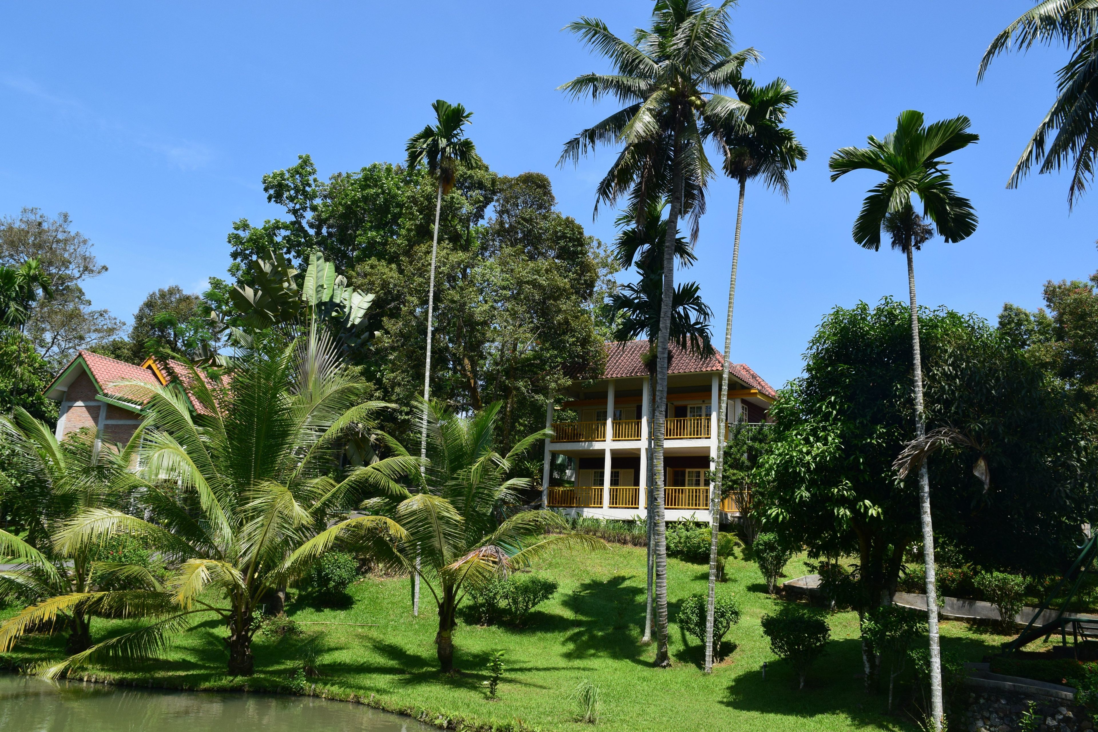 1 bedroom, premium bedding, down duvets, pillow-top beds