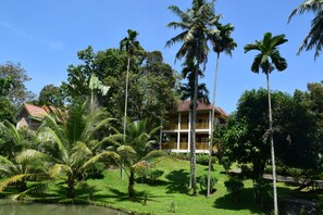 Premium bedding, down duvets, pillow-top beds, in-room safe