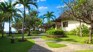 A tropical resort with a paved pathway leading to a building surrounded by palm trees and lush greenery.
