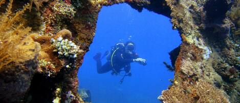 A diver in a clear blue waterhole surrounded by coral and marine life.