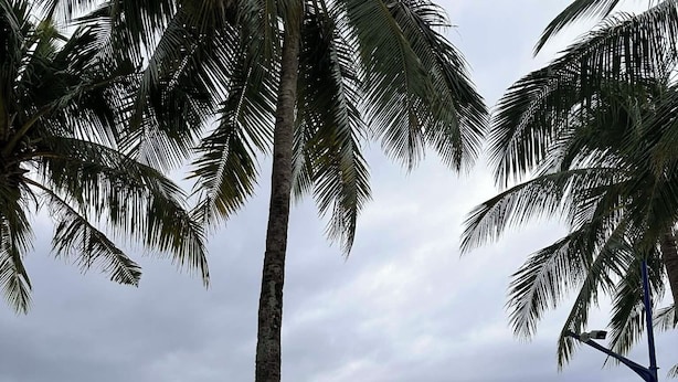 A beach with palm trees, people walking, and a rocky outcrop in the background.