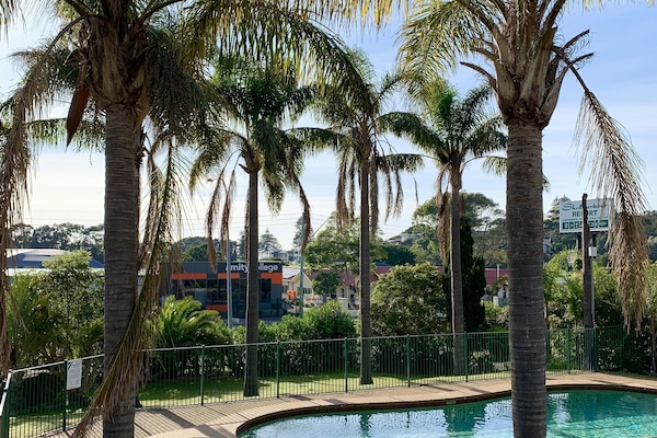 Outdoor pool, open 8:00 AM to 8:30 PM, sun loungers