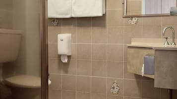 A bathroom with a glass shower enclosure, a toilet, a sink with a mirror, and a towel rack.
