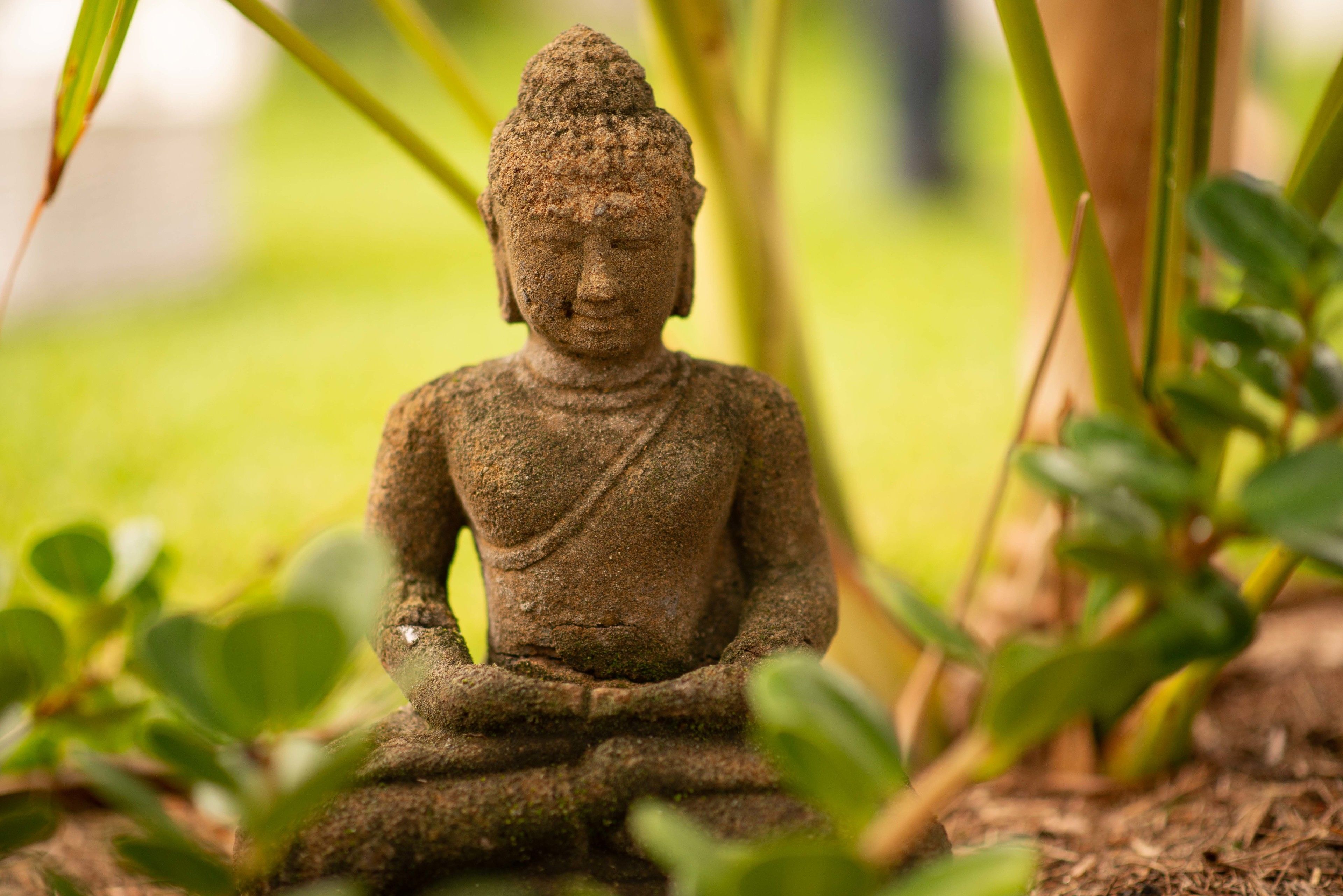 A stone Buddha statue in a garden setting.