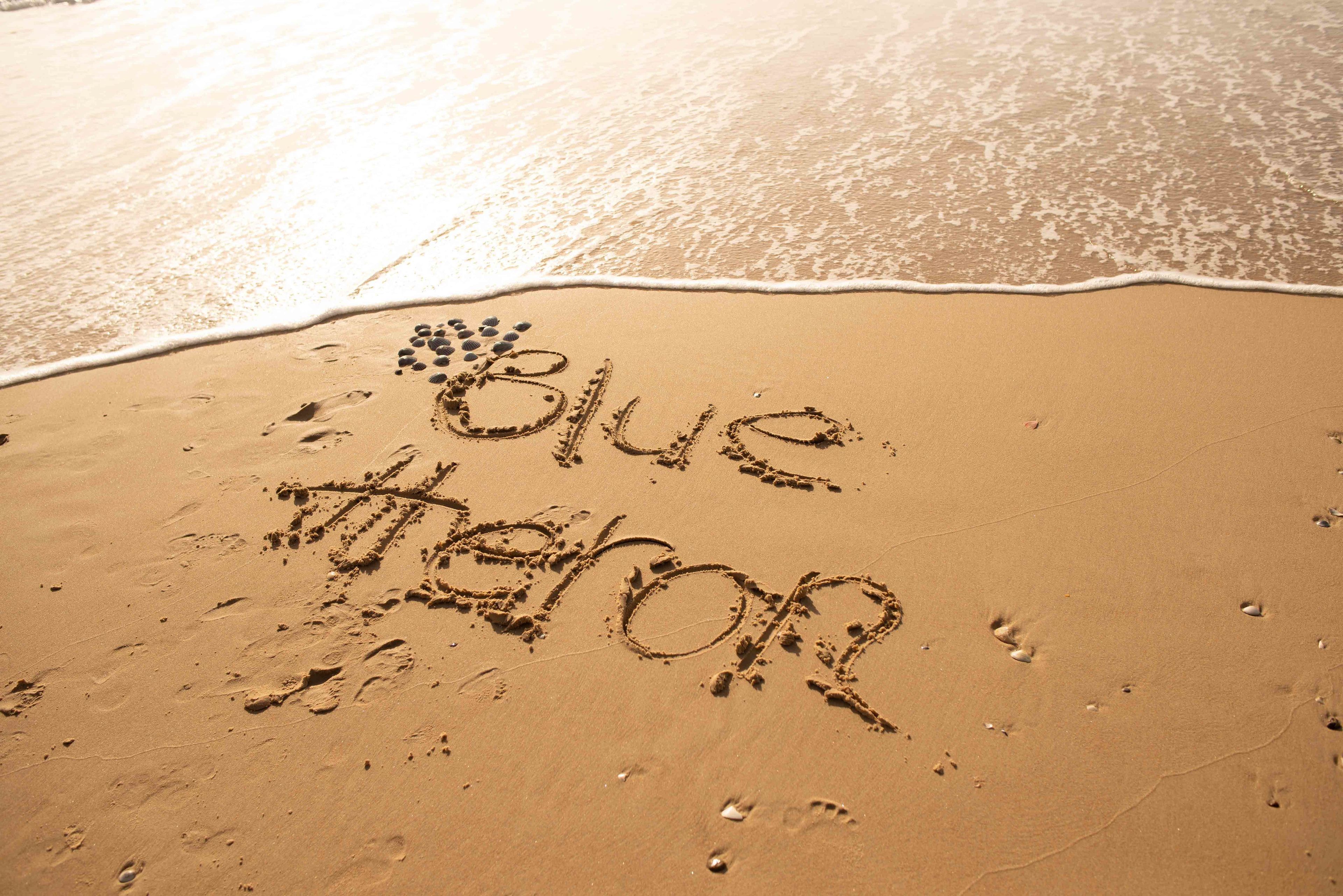 Foto - Blue Heron Boutique Motel