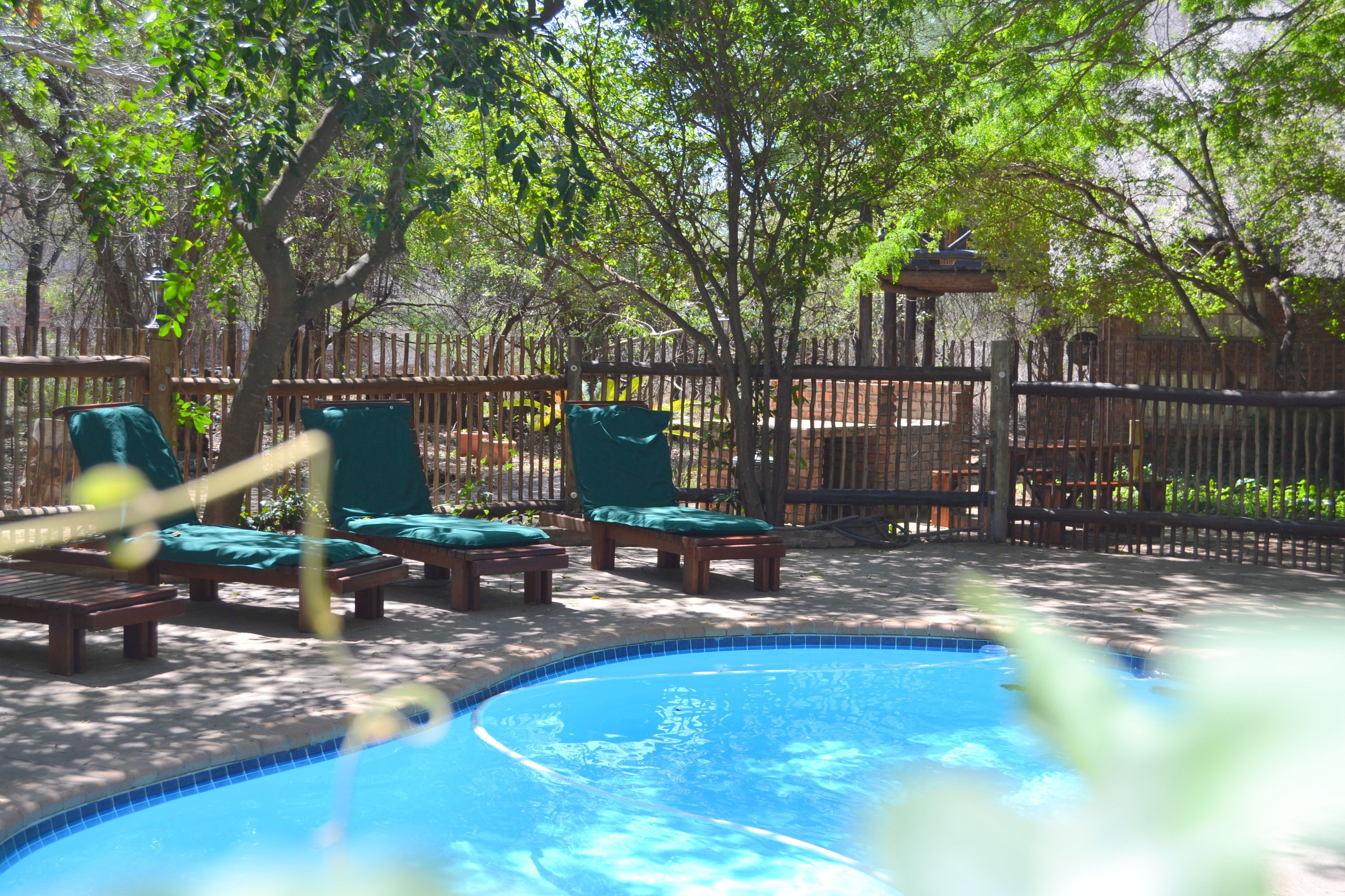 室外游泳池，池畔遮阳伞，日光浴躺椅