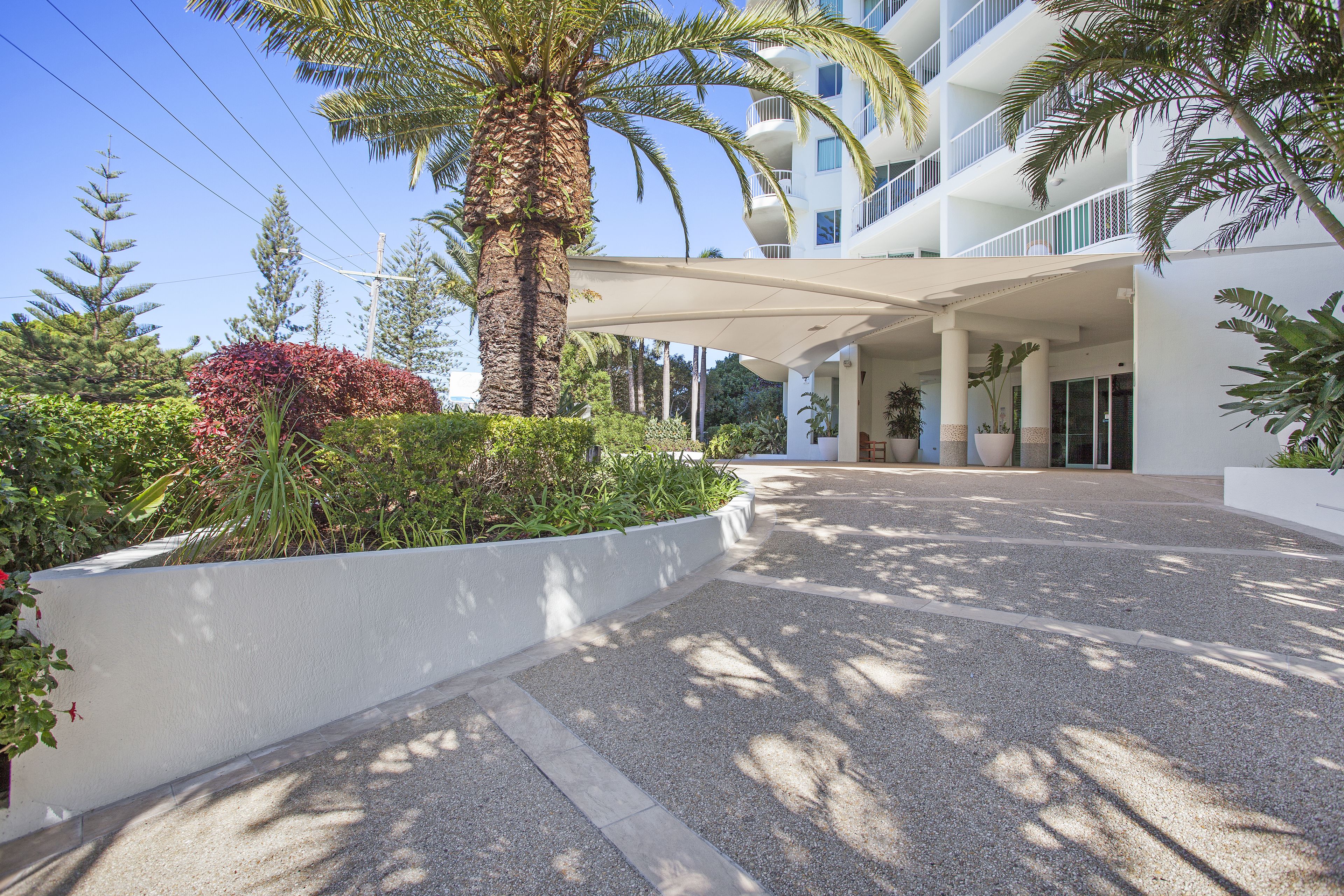 A modern hotel entrance with a covered walkway, palm trees, and a landscaped garden.