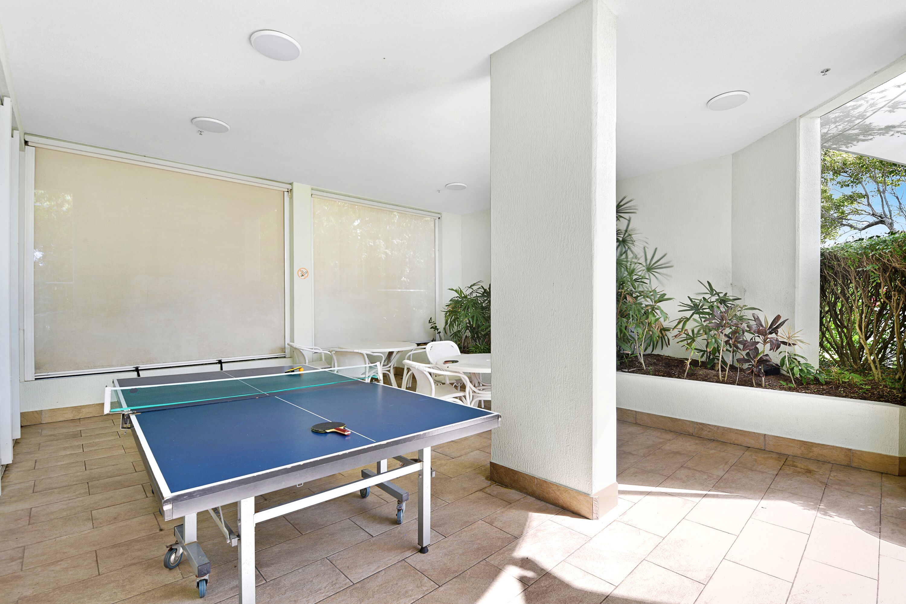 Una mesa de ping pong en una habitación luminosa e inundada de luz, con vistas al verdor exterior.