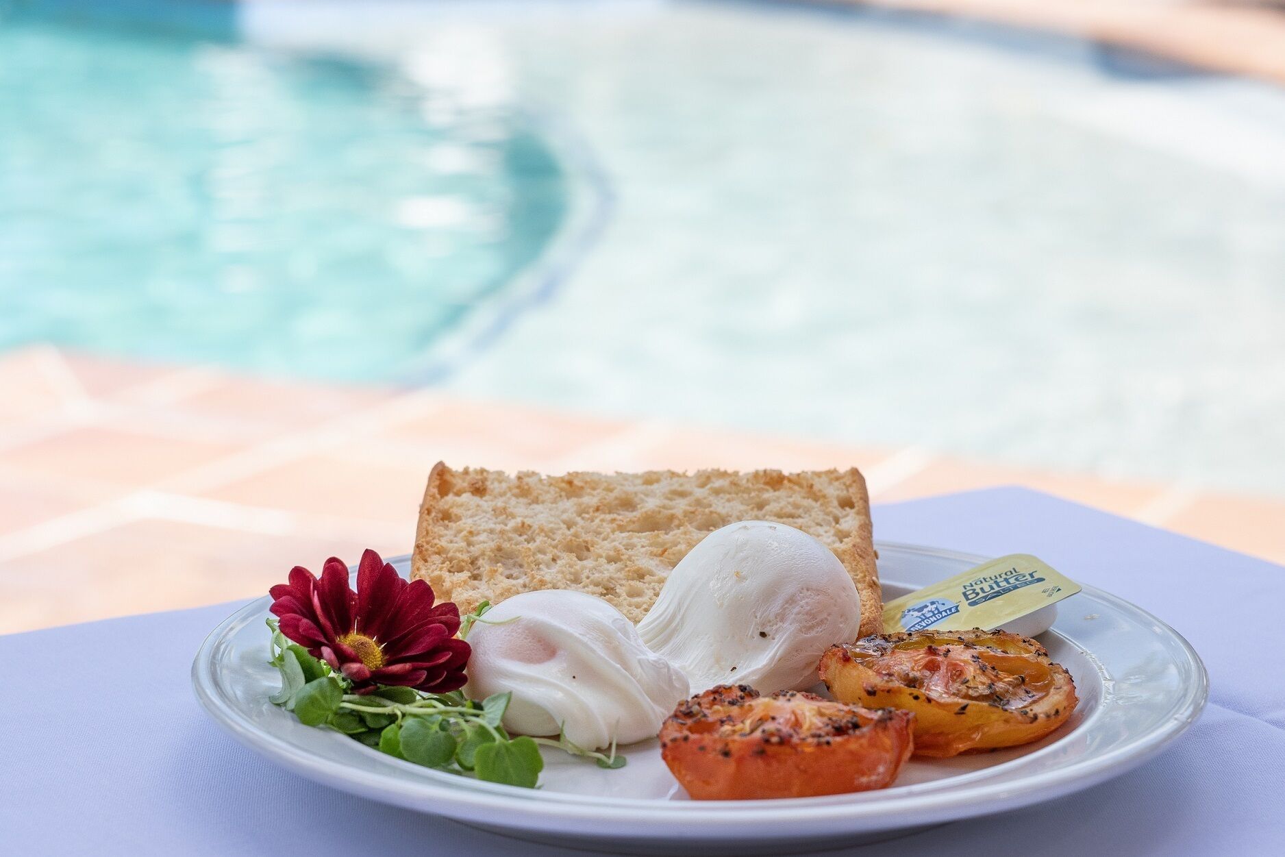 Photo - BIG4 Gold Coast Holiday Park