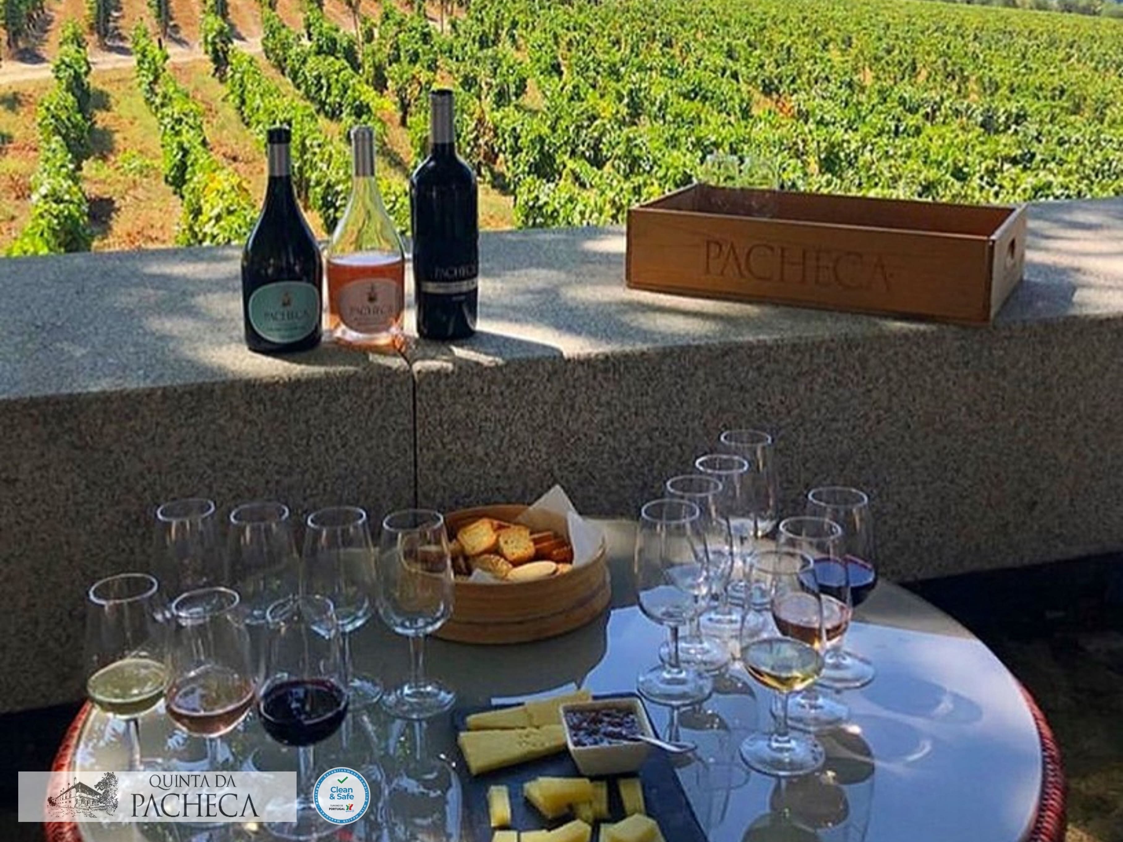 A table with wine glasses and bottles, a box labeled "PACHECA," and a view of vineyards in the background.