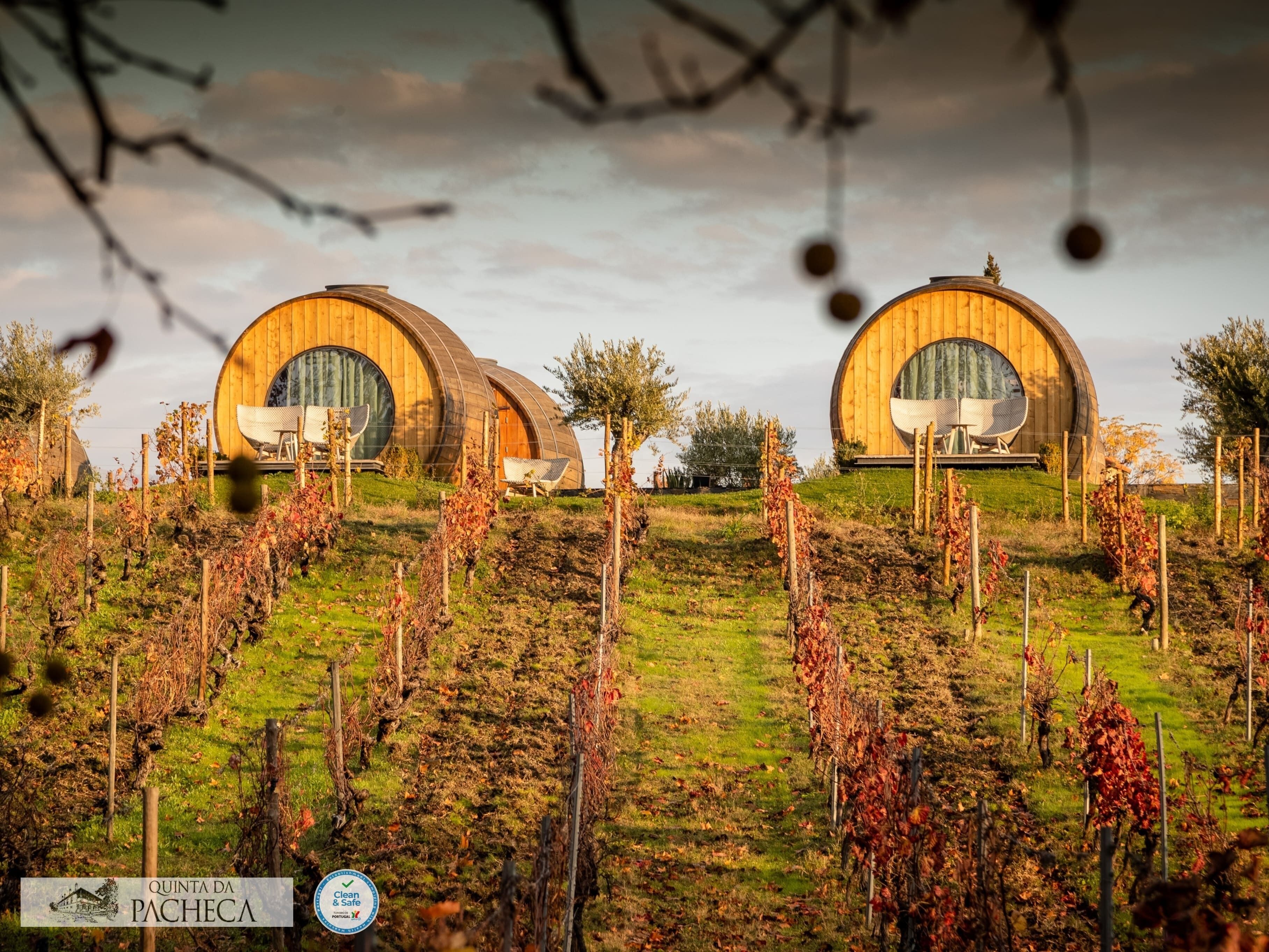 Foto - The Wine House Hotel - Quinta da Pacheca